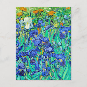 Carte Postale Les Iris de Van Gogh