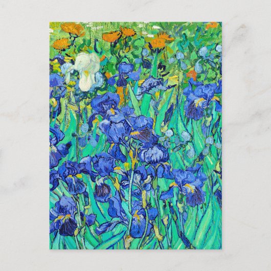 Carte Postale Les Iris de Van Gogh (Devant)