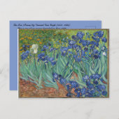 Carte Postale Les Iris Irises Vincent Van Gogh (Devant / Derrière)