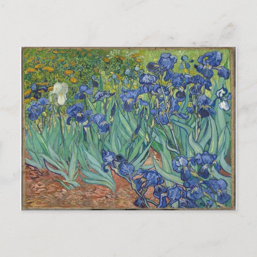 Carte Postale Les Iris Irises Vincent Van Gogh (Devant)