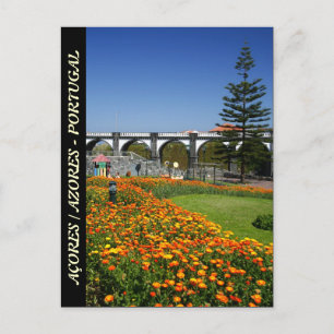 Carte Postale Les jardins de Ribeira Grande