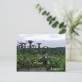 Carte Postale Les jardins de Singapour dans la baie (Debout devant)