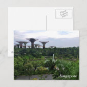 Carte Postale Les jardins de Singapour dans la baie (Devant / Derrière)