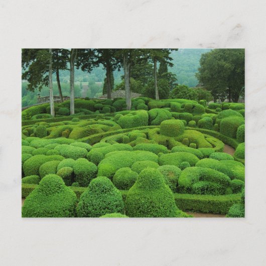 Carte Postale Les jardins du Marquessac (Devant)