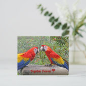 Carte Postale Les Joyeux Anniversaire de Love Birds (Debout devant)