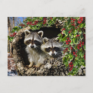 Carte Postale "Les jumeaux Holly Berry"