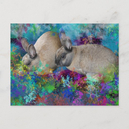 Carte Postale Les lapins de Fantasyland : un conte de lièvre (Devant)