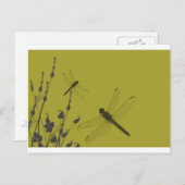 Carte Postale Les libellules dans l'herbe (Devant / Derrière)