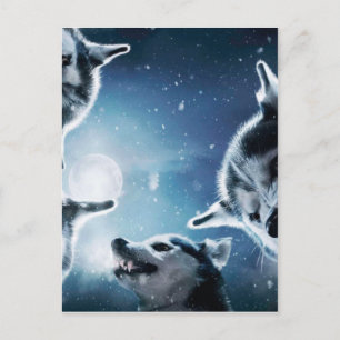 Carte Postale Les loups en colère et la lune