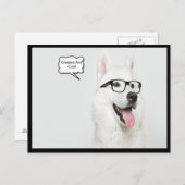 Carte Postale Les lunettes sont des chiens Cool (Devant / Derrière)