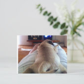 Carte Postale Les magasins se détendent (Debout devant)