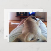 Carte Postale Les magasins se détendent (Devant / Derrière)