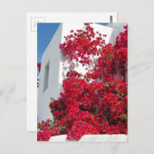 Carte Postale Les maisons de Mykonos (Devant / Derrière)