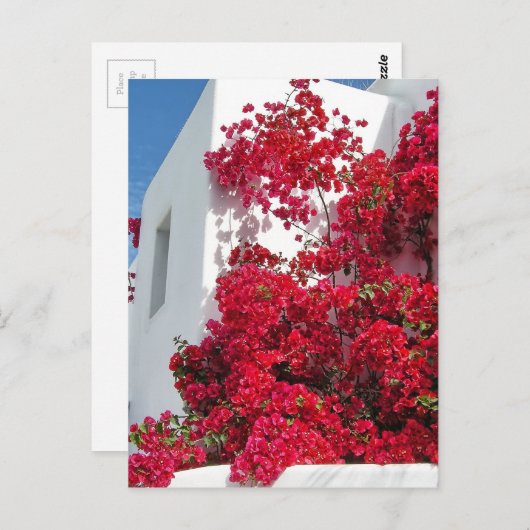 Carte Postale Les maisons de Mykonos (Devant / Derrière)