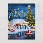 Carte Postale Les manchots curieux (Devant)