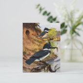 Carte Postale Les martins-pêcheurs et leur tunnel de nid (Debout devant)