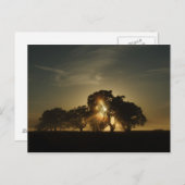 Carte Postale Les Matins Comme Ça (Devant / Derrière)