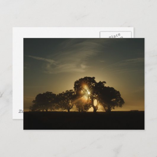 Carte Postale Les Matins Comme Ça (Devant / Derrière)