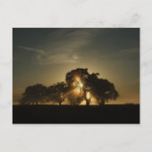 Carte Postale Les Matins Comme Ça (Devant)