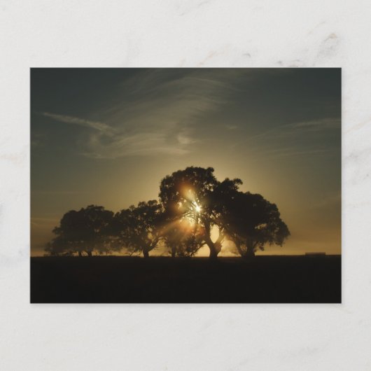 Carte Postale Les Matins Comme Ça (Devant)