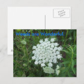 Carte Postale Les mauvaises herbes sont merveilleuses. (Devant / Derrière)