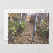 Carte Postale Les médaillons d'or couvrent le sentier (Devant / Derrière)