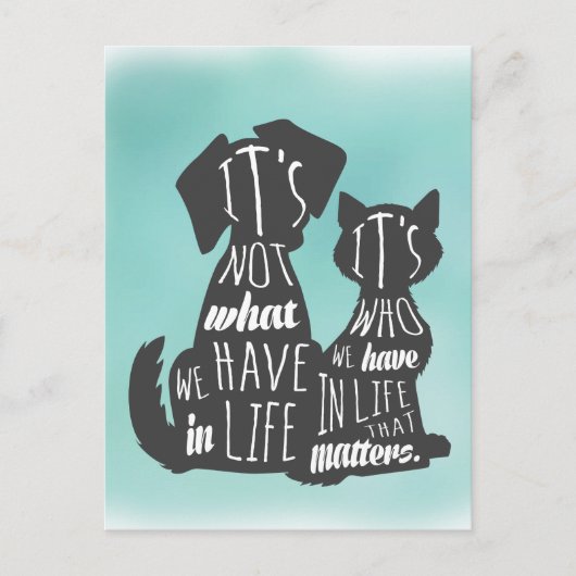 Carte Postale Les meilleures légendes des amis des chats et des (Devant)