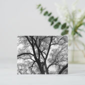 Carte Postale Les membres de la nature (Debout devant)