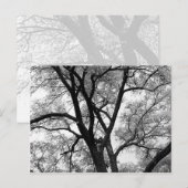 Carte Postale Les membres de la nature (Devant / Derrière)