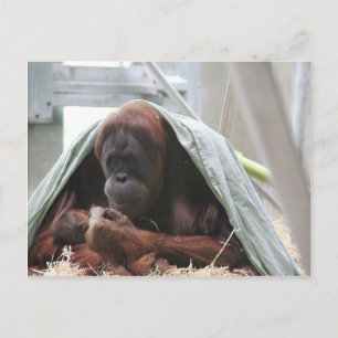 Carte Postale Les mères adorent