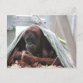 Carte Postale Les mères adorent (Devant)