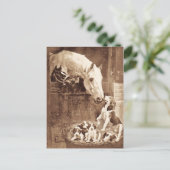 Carte Postale Les mères se saluent (Debout devant)