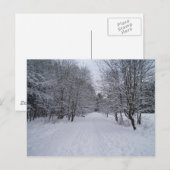 Carte Postale Les merveilles hivernales (Devant / Derrière)