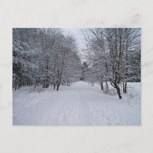 Carte Postale Les merveilles hivernales (Devant)