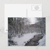 Carte Postale Les merveilles hivernales (Devant / Derrière)