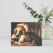 Carte Postale Les miettes douteuses (Debout devant)