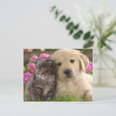 Carte Postale Les mignons animaux (Debout devant)