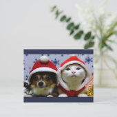 Carte Postale Les mignons animaux (Debout devant)