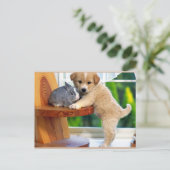 Carte Postale Les mignons animaux (Debout devant)