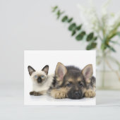 Carte Postale Les mignons animaux (Debout devant)