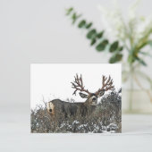 Carte Postale Les monstres (Debout devant)