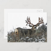 Carte Postale Les monstres (Devant / Derrière)