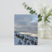 Carte Postale Les montagnes du Caire (Debout devant)