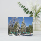 Carte Postale Les monts San Bernardino (Debout devant)