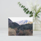 Carte Postale Les monts San Bernardino (Debout devant)