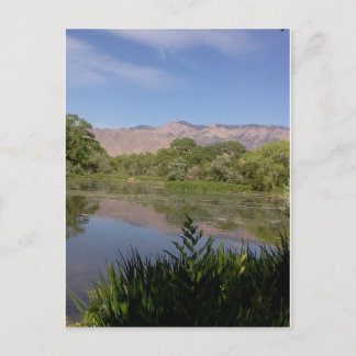 Carte Postale Les monts Sandia