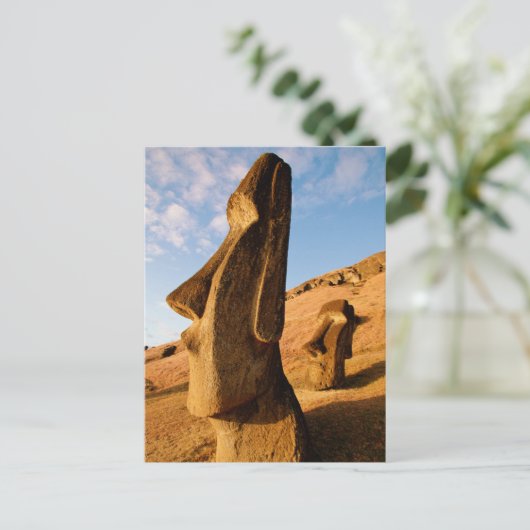 Carte Postale Les monuments | Île de Pâques (Debout devant)