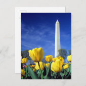 Carte Postale Les monuments | Washington Monument au printemps (Devant / Derrière)