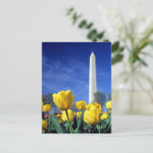 Carte Postale Les monuments | Washington Monument au printemps (Debout devant)