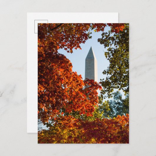 Carte Postale Les monuments | Washington Monument en automne (Devant / Derrière)